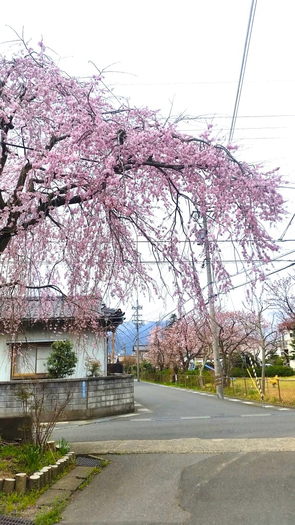 20170406_143137